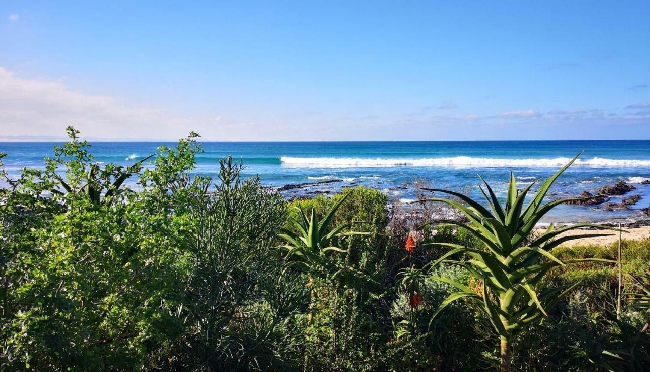 Beach Front Jeffreys Bay Exteriör bild